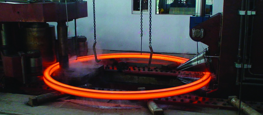 palsu-ring01