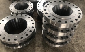 Orifice Forged Flanges