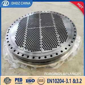 New Delivery for Types Of Flanges In Piping - Forged Tube Sheet – DHDZ